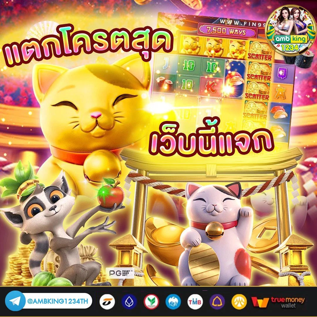 เล่นเว็บคาสิโน - แบนเนอร์โปรโมชั่น